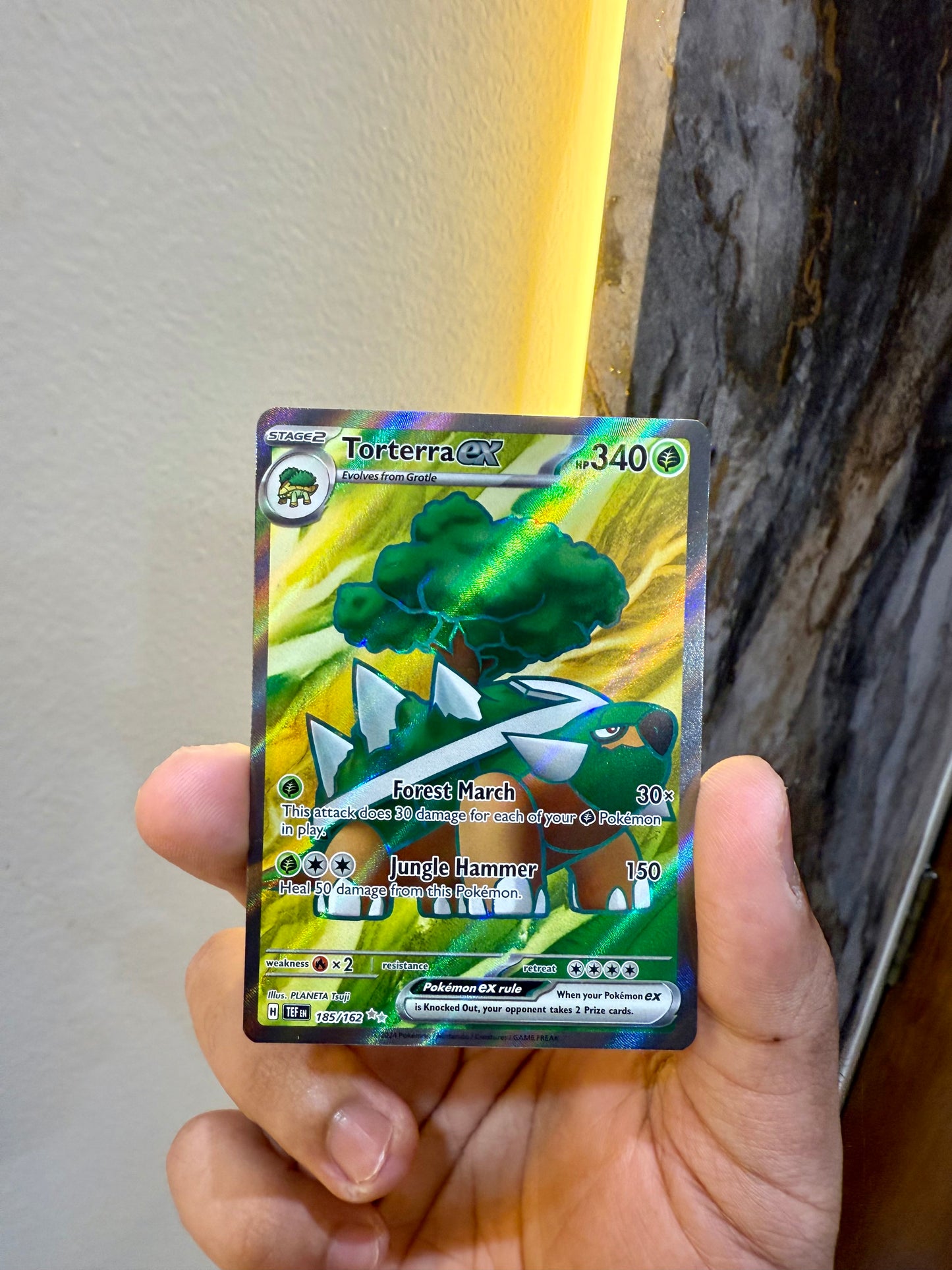 Torterra EX – Full Art Holo (185/162) – Pokémon TCG
